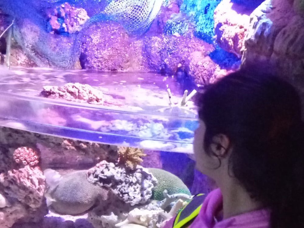 A student looking into a lit reef tank during an aquarium visit